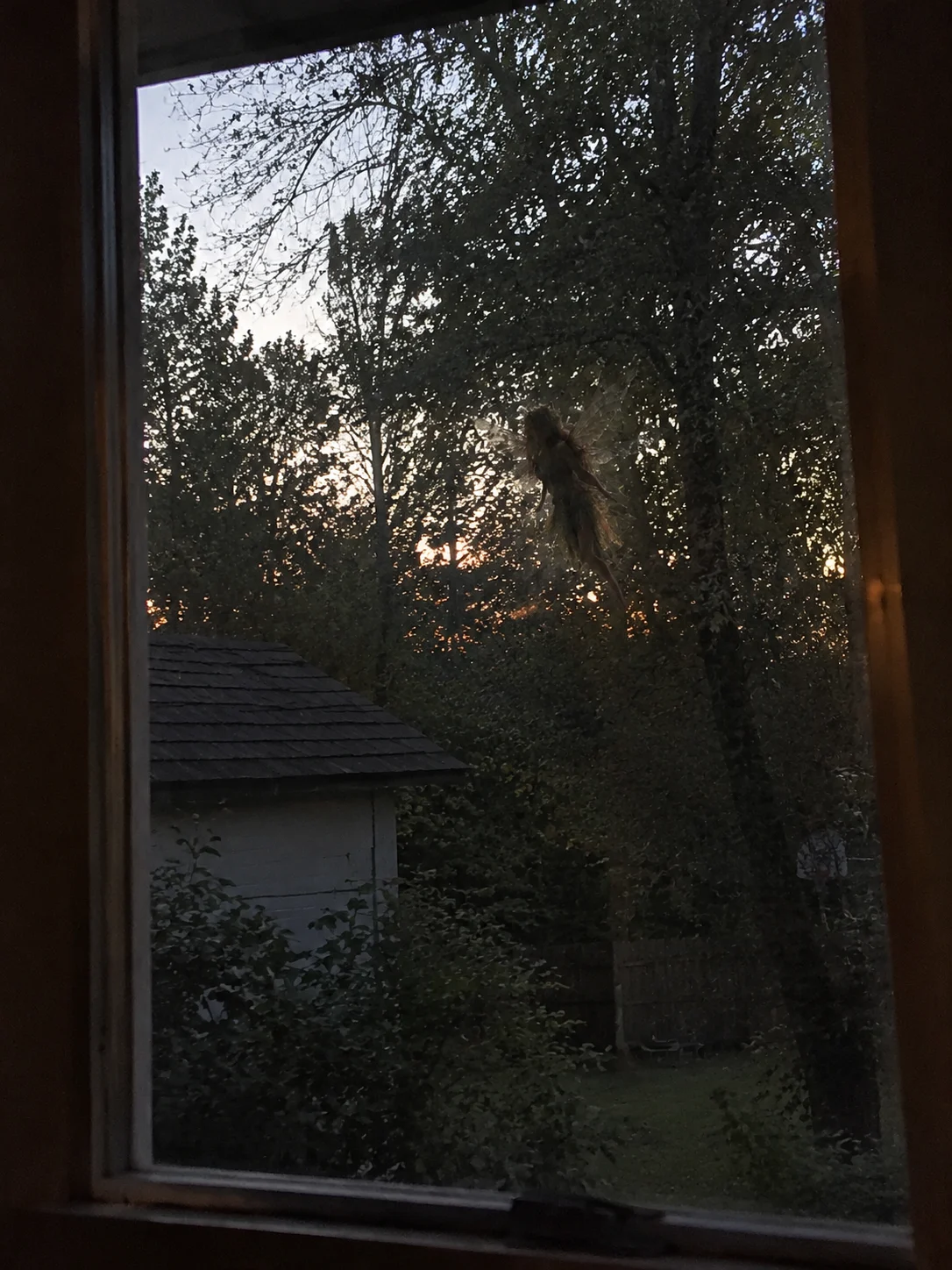 Illustration of a small winged figure seen through a window over a backyard at dusk
