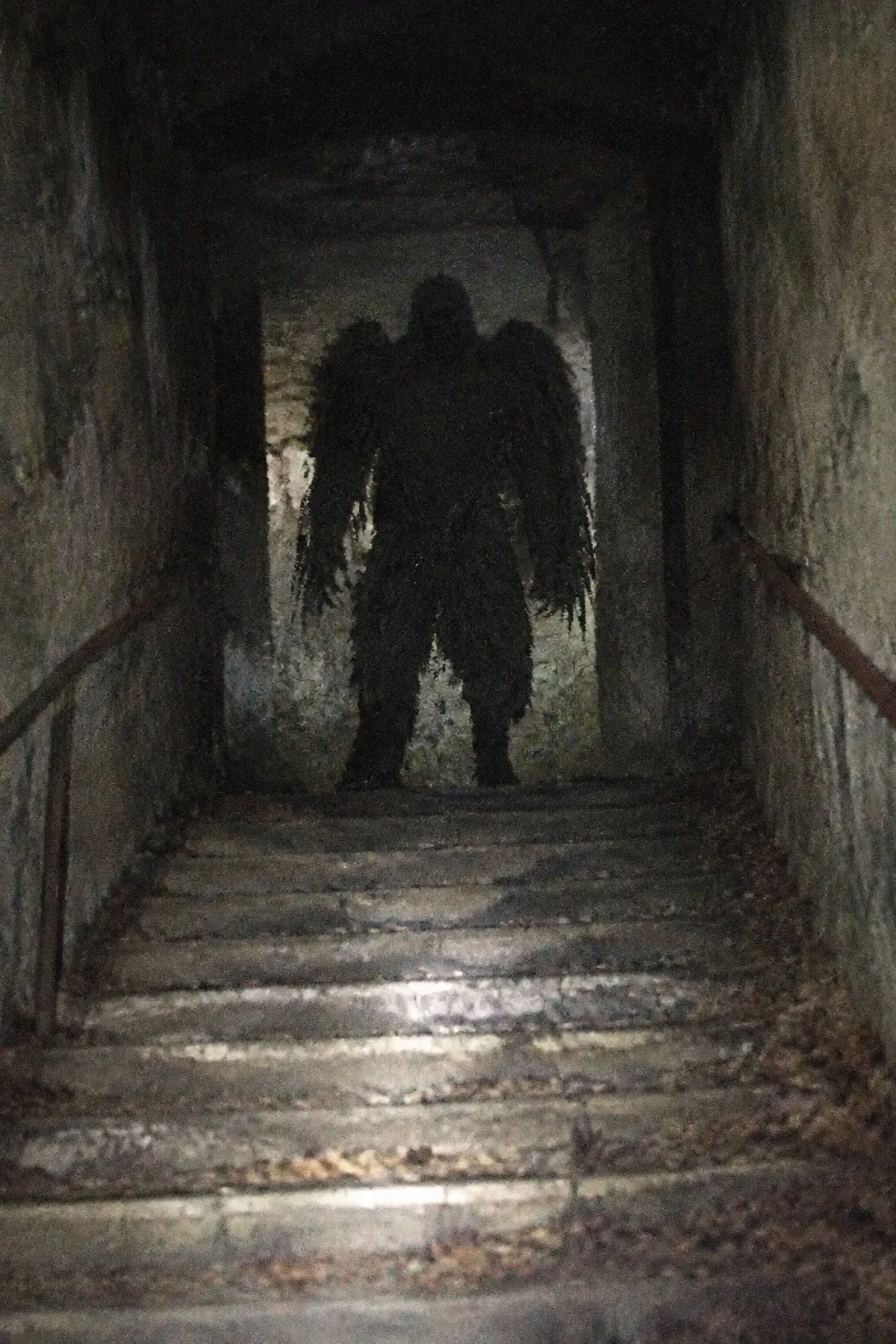 Illustration of a dark winged, feathered humanoid standing at the top of a narrow stone stairwell