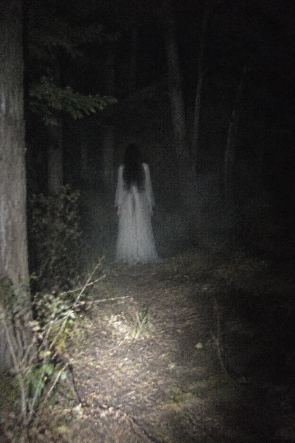 Illustration of a ghostly woman in a white dress at the end of a forest path