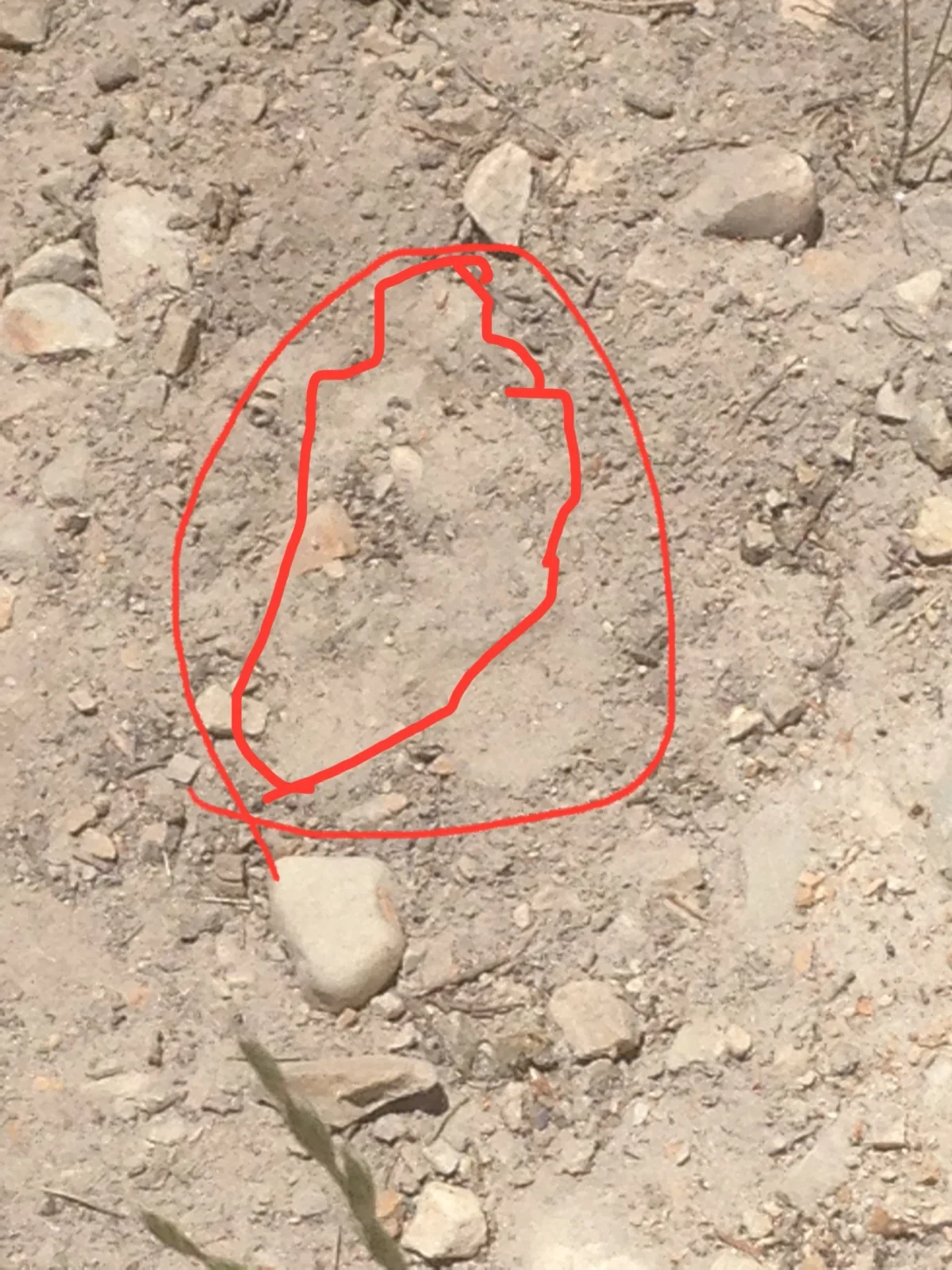 Footprint in dirt circled in red